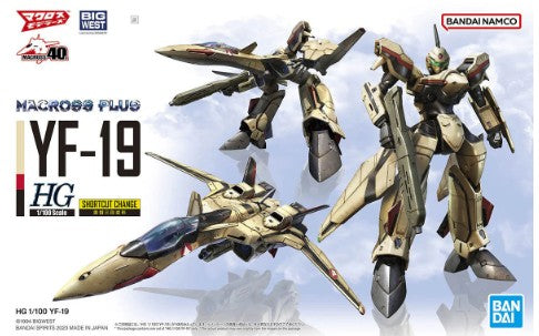 1/100 HG Macross Plus YF-19