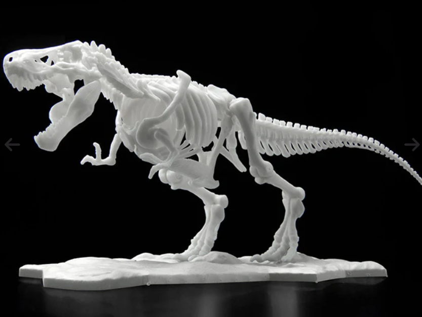 Dinosaur Model Kit Limex Skeleton - Tyrannosaurus