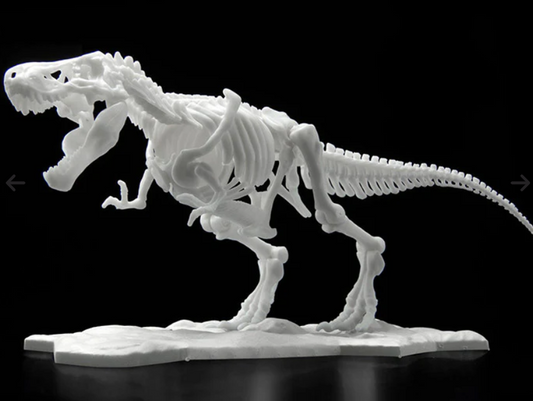 Dinosaur Model Kit Limex Skeleton - Tyrannosaurus