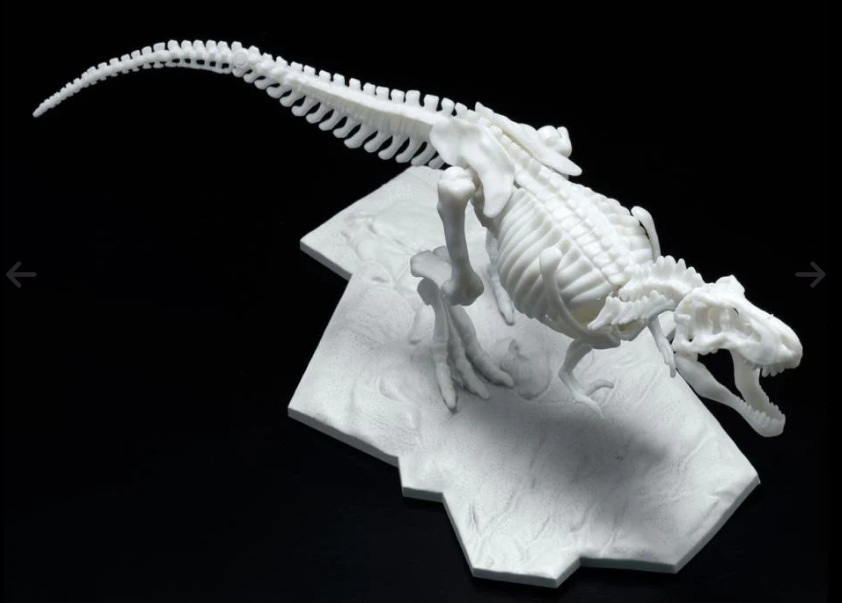 Dinosaur Model Kit Limex Skeleton - Tyrannosaurus