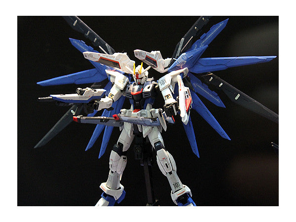 RG 1/144 ZGMF-X10A Freedom Gundam