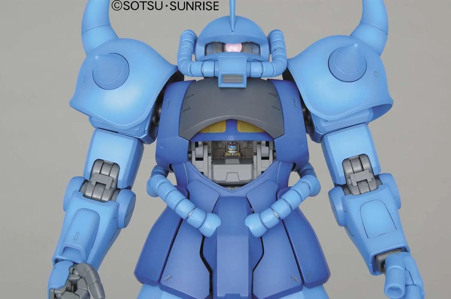1/100 MG MS-07B Gouf Ver.2.0