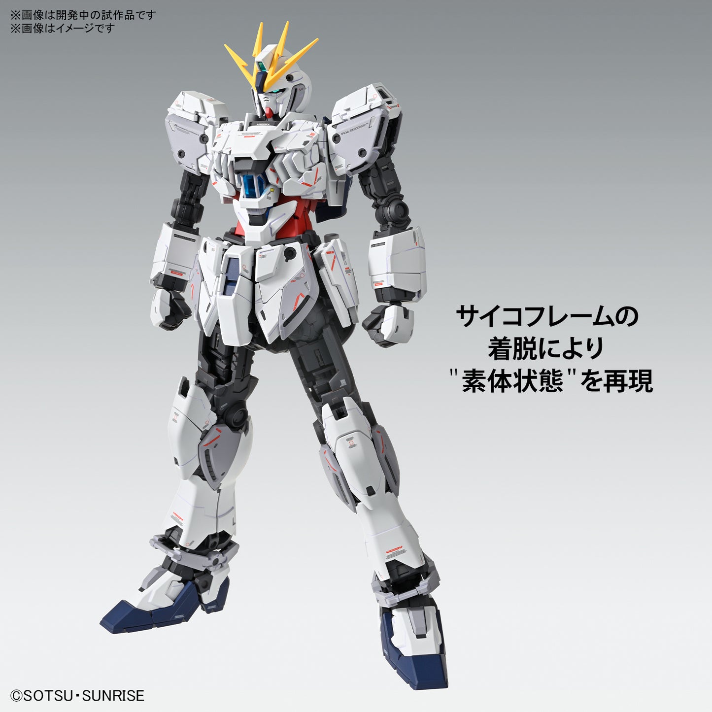 MG 1/100 Narrative Gundam C-Packs Ver. Ka