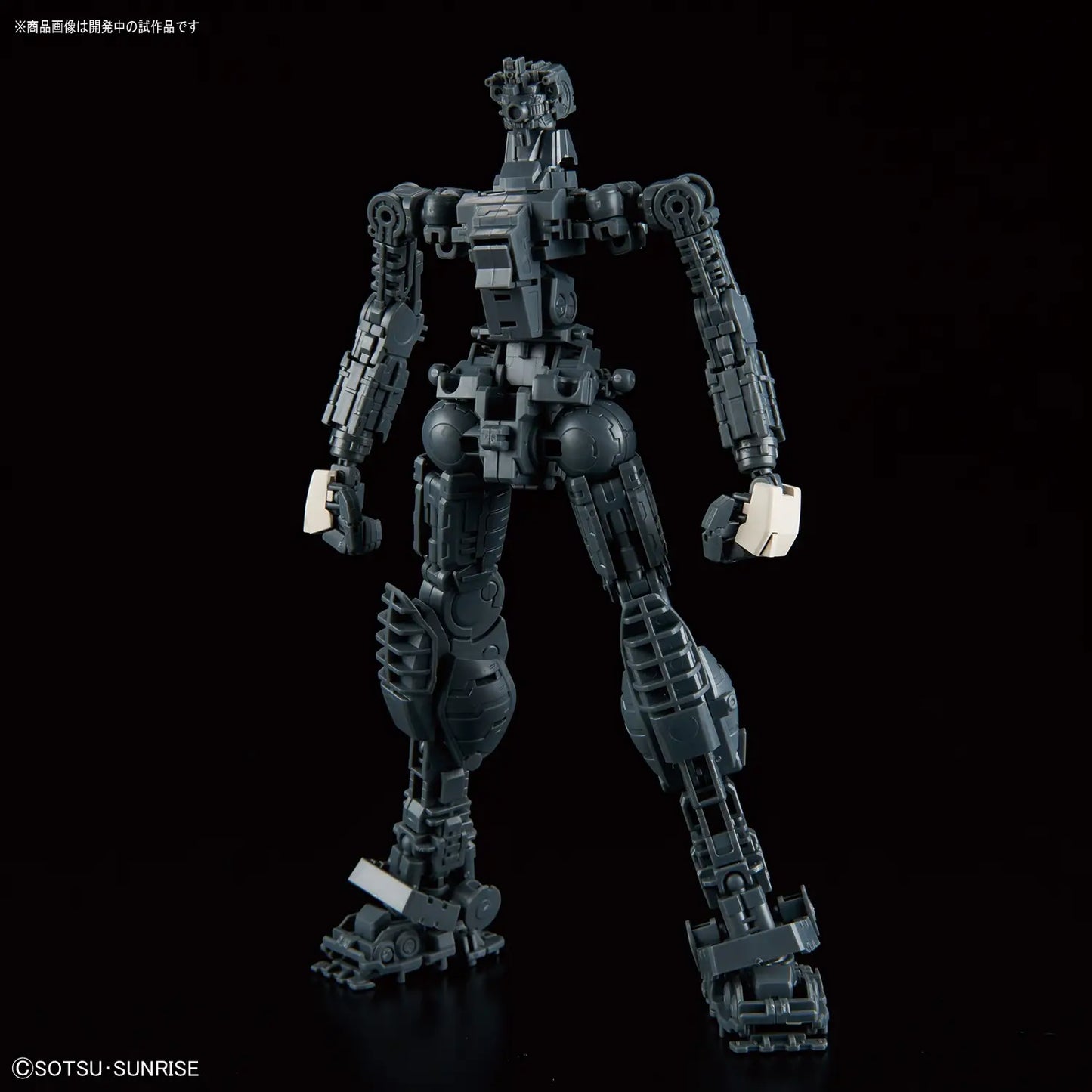 1/100 MG GM Command (Colony Type)