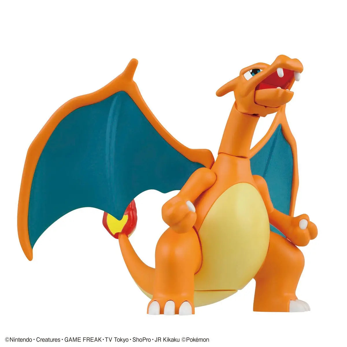 Pokemon Charizard & Dragonite