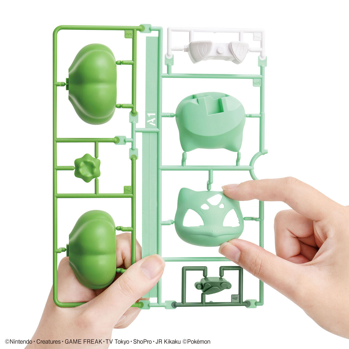 Bulbasaur Pokemon Model Kit