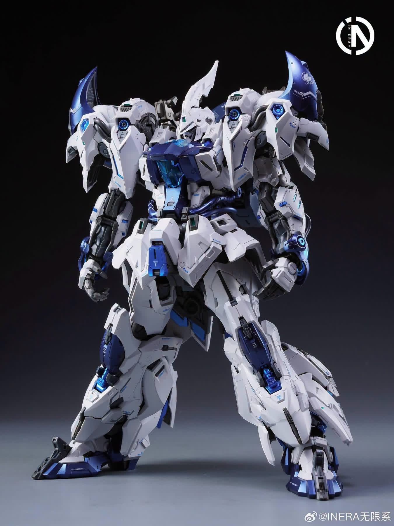 Infinity Nova RMD Lizard Polar Shark